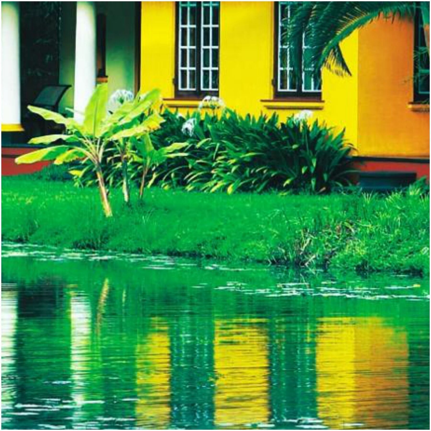 Taj Kumarakom Resort And Spa Kerala Esterno foto