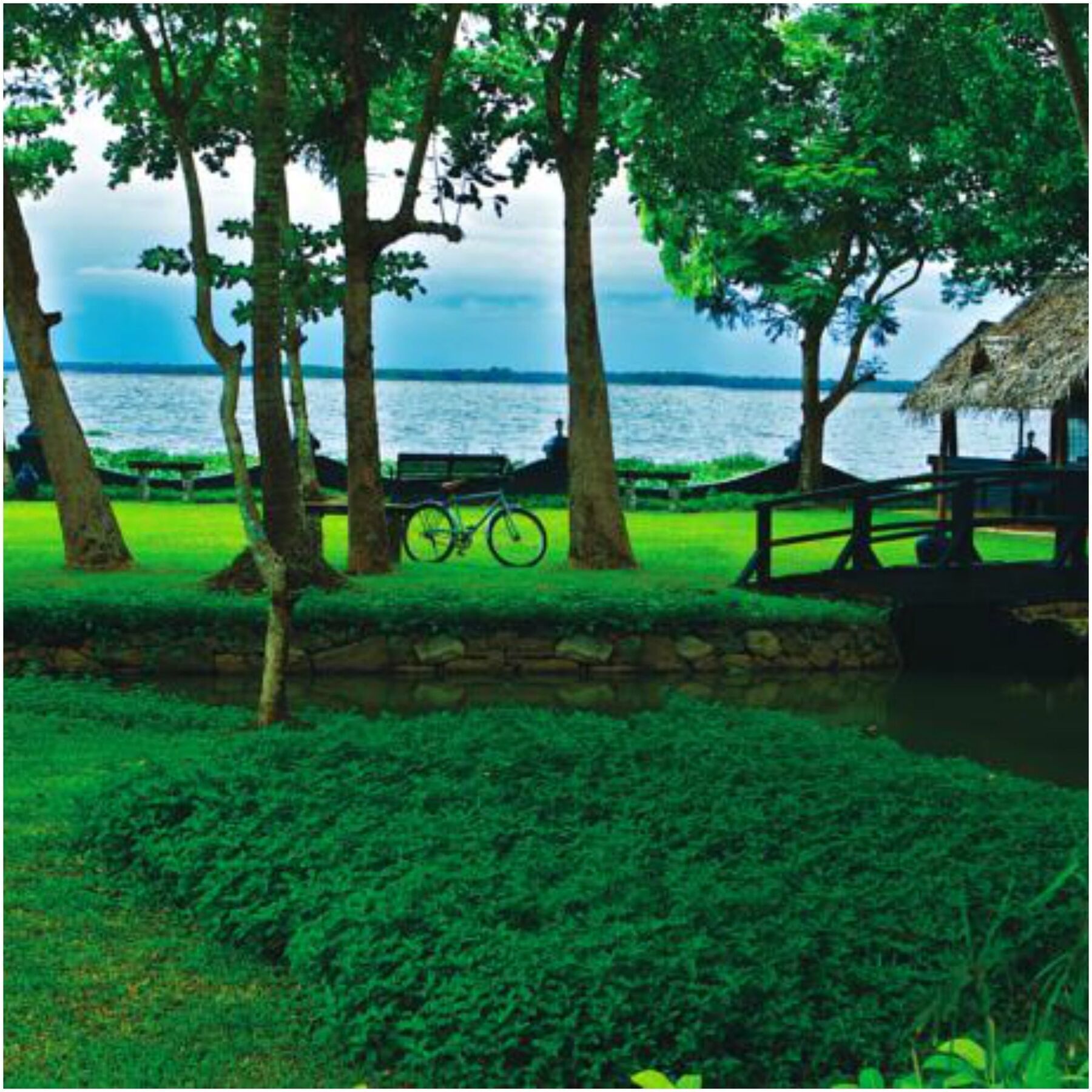 Taj Kumarakom Resort And Spa Kerala Esterno foto